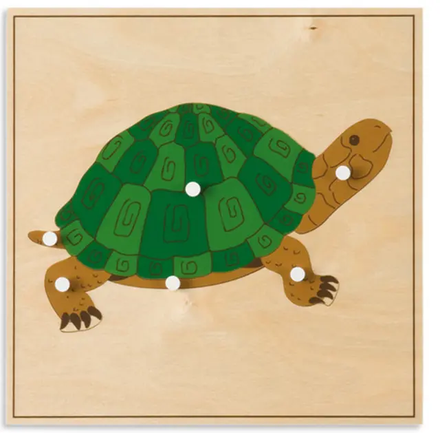 Animal Puzzle: Turtle 
