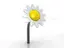 Daisy petal drum A-moll B56 x D63 x H108 cm