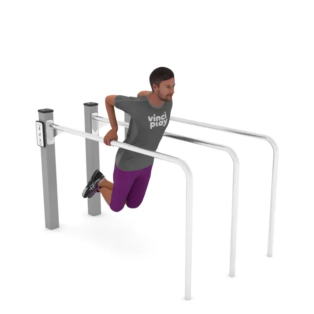 Workout dipsstang trio 