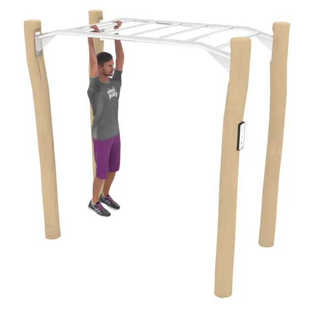 Workout abestige robinia 