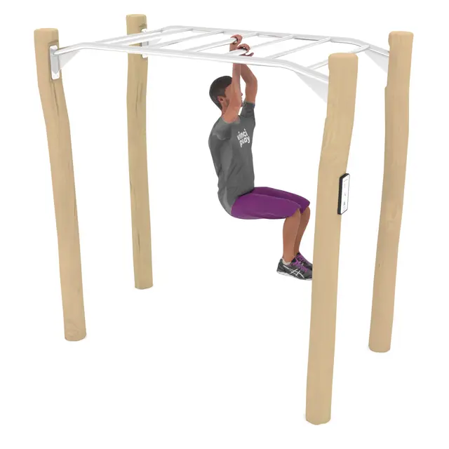 Workout abestige robinia 