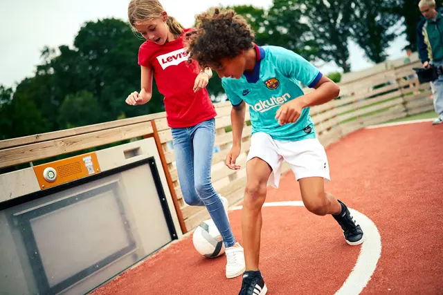 Toro for tøffere miljøer L165 x B30 x H81 cm, 4 stk 